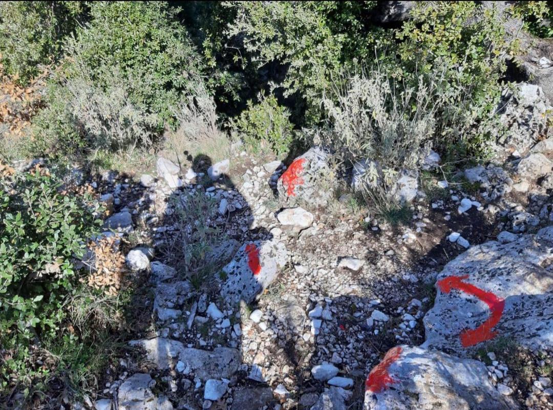 Guesthouse Hamiti Llogara Dukat Bagian luar foto