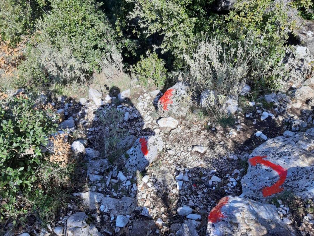 Guesthouse Hamiti Llogara Dukat Bagian luar foto